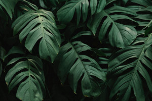 奥运冠军状态火爆，剑指下一个荣誉！