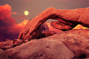 粉丝为之疯狂！三国杀Online电竞明星选手人气爆棚！